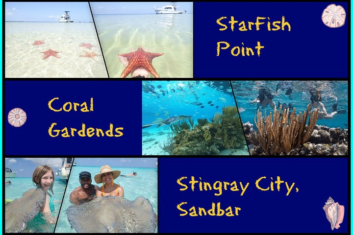 Starfish Point, Stingray City & Coral Garden (3-STOP Adventure) - Photo 1 of 25